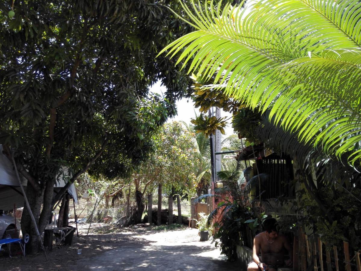 Hostel Terra Viva Praia de Pipa Dış mekan fotoğraf